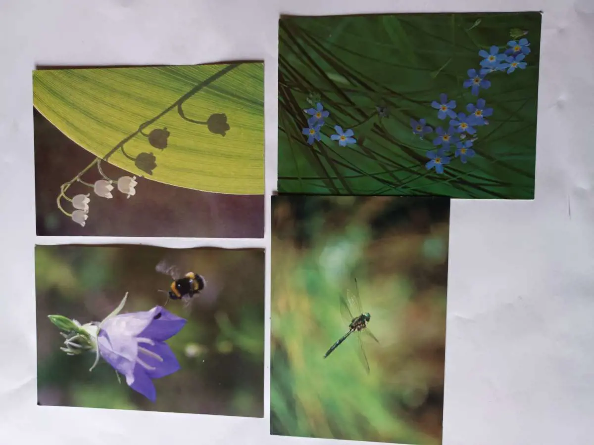 Kuvassa: Postikortteja