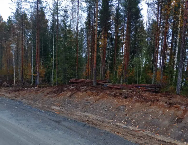 Kuvassa: Kuitupuuta n.19m3