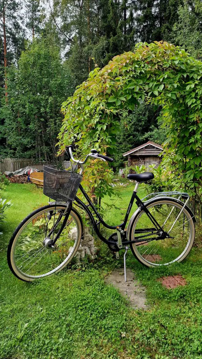 Kuvassa: Tähtipyörä Sirius
