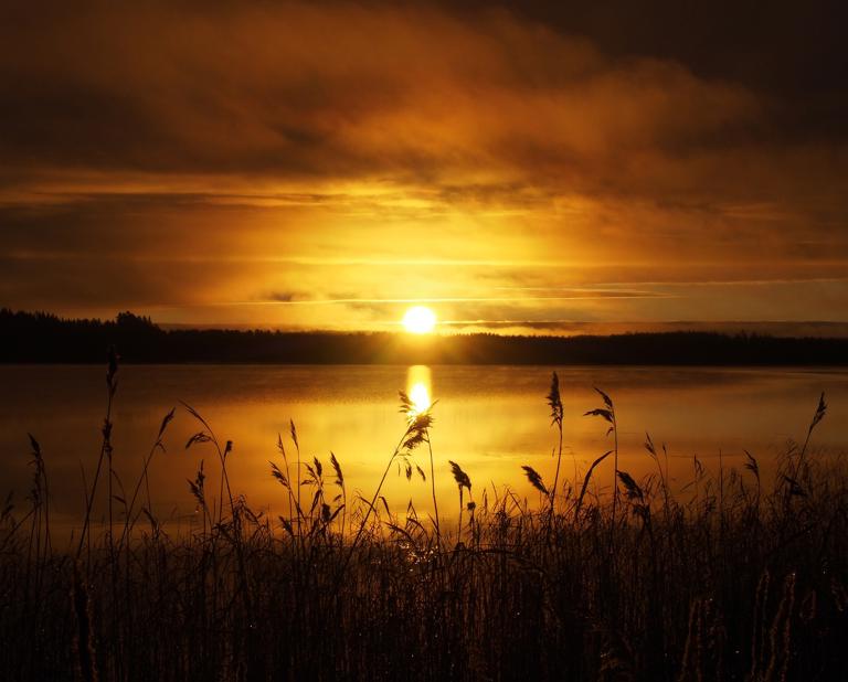 Kuvituskuva: Pixabay