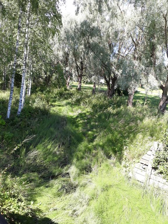 Kuva Pukinojan alueesta kaarisillalta katsottuna.