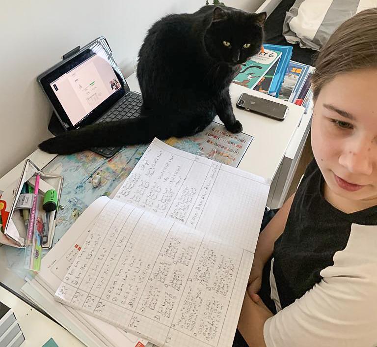 Etäopiskelussa luokan häly ei haittaa, mutta Malla Harjunmaan kotona on kyllä muita haasteita. Kuva: Inari Harjunmaa