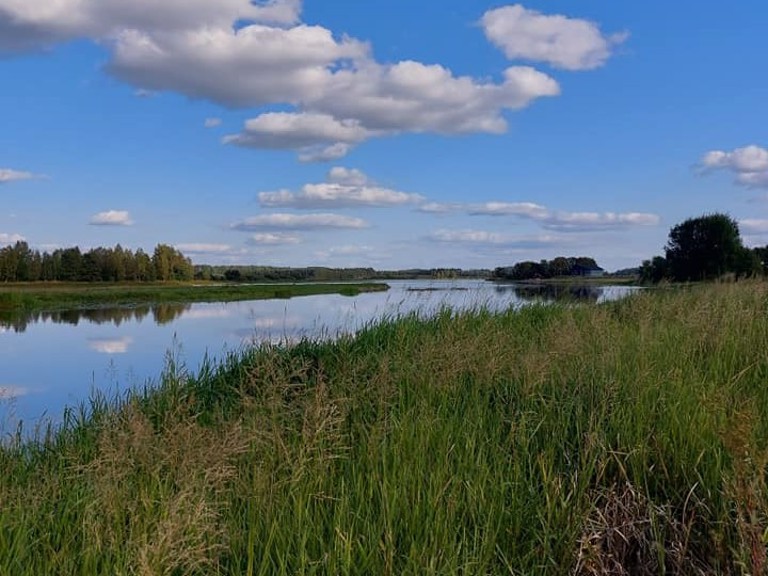 Huittisten Kalakerhon kauden viidennettoista onkikisat ongittiin Hevossaaren huitteilla. Kuva: HKK