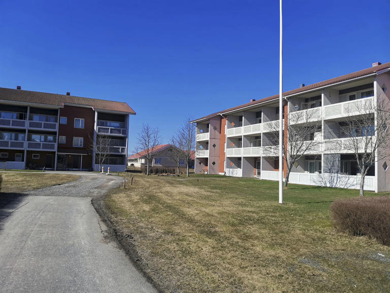 Some international students live in rental apartments in Vuohikatu.